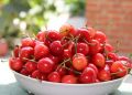 樱桃的营养价值丰富 哪些人不宜吃樱桃？