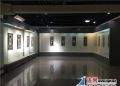 “胡成娟麦秸画”作品展在市博物馆开展