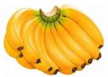 香蕉香甜可口 1根香蕉能防10种病