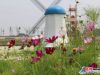  摄于2015年6月22日