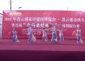 2015年首届“新海建材城杯”广场舞大赛（初赛）