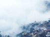  浓雾随风流动，覆盖住了整个花果山，登高远眺，仿佛在云海中浮游。此景观持续到当日上午10时，许多游客目睹了这一美妙奇观。    赵 俊    范守梅