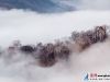  浓雾随风流动，覆盖住了整个花果山，登高远眺，仿佛在云海中浮游。此景观持续到当日上午10时，许多游客目睹了这一美妙奇观。    赵 俊    范守梅
