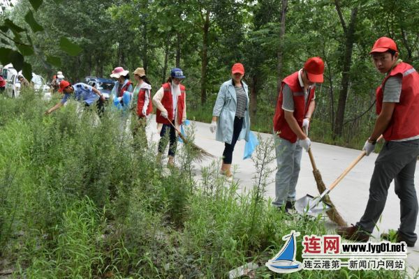 宿城街道开展创卫大清扫活动_连网