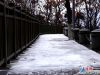 【连网】2016年11月22日，今冬第一场雪降落连云港花果山，山上已默默地裹上了銀裝，宛如仙境，进入童话世界。11月22日5时22分，迎小雪节气。小雪到，北方气温会下降到0℃以下，南方开始进入冬季，这恰好与今年的天气情况相符合。而每年到了这个时候，就要开始下雪了，但雪量不是很大，所以才叫“小雪”。范守梅 赵俊 摄