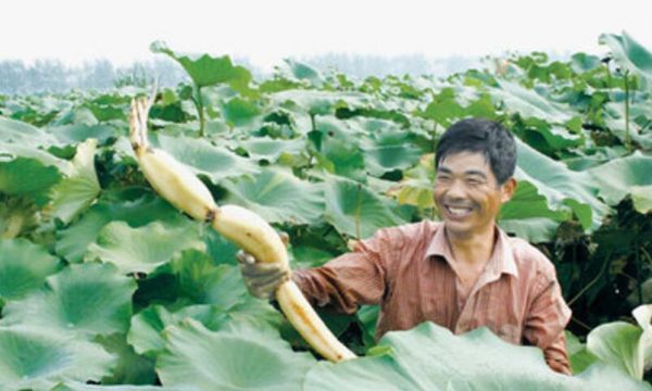 QQ截圖20170620101216