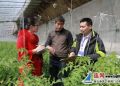 【治國理政新實踐·江蘇篇】東?！白咝摹毕略L讓百姓暖心