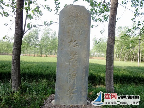 微信图片_20170731182912