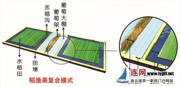 TIM截图20170831123441