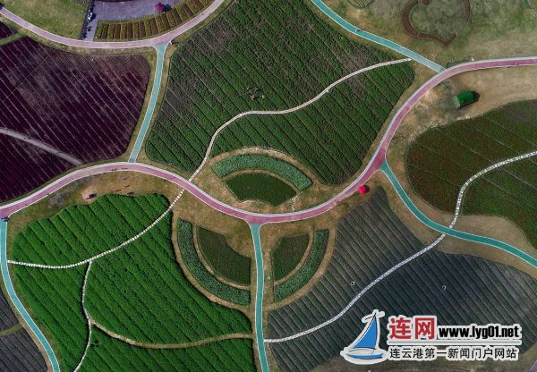 微信图片_20171009180312
