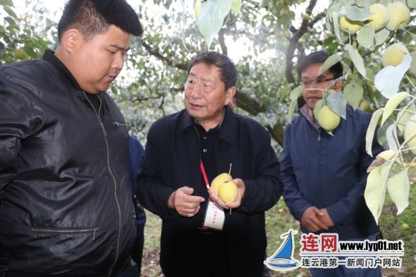 微信图片_20171020164355