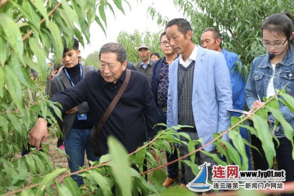 微信图片_20171020164334