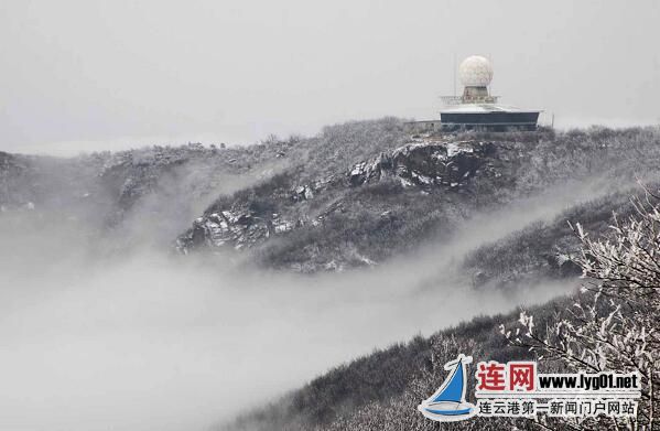 QQ截图20171215165942