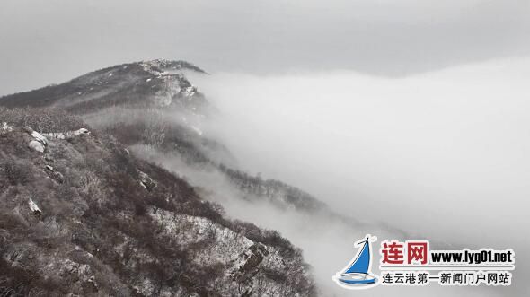 QQ截图20171215165857