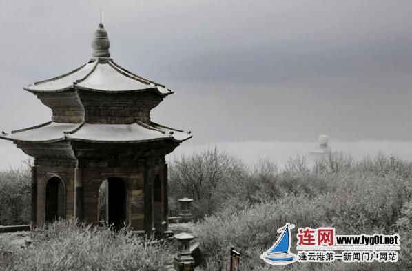 QQ截图20171215165955