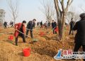 “绿动未来•你我同行”徐圩街道组织开展义务植树活动