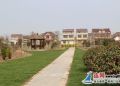 灌南田楼 绿色小海建设抓当前见实效
