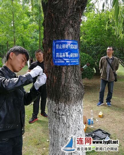 QQ截图20180518170045