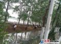 灌南县百禄镇对境内326省道环境综合整治进行“回头看”