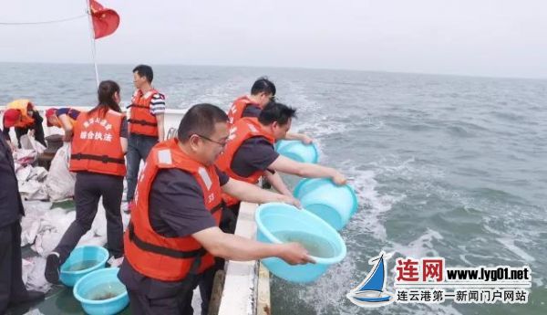 微信图片_20180603155037