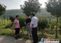 灌南城投公司全面启动李集苗圃养护管理工作