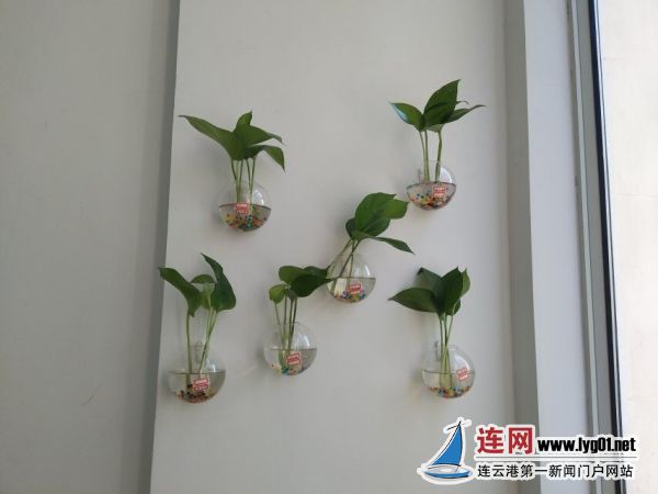 郁洲街道东苑高新社区开展亲子创意盆栽主题活