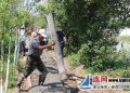 灌南田楼创卫美环境炎夏不停