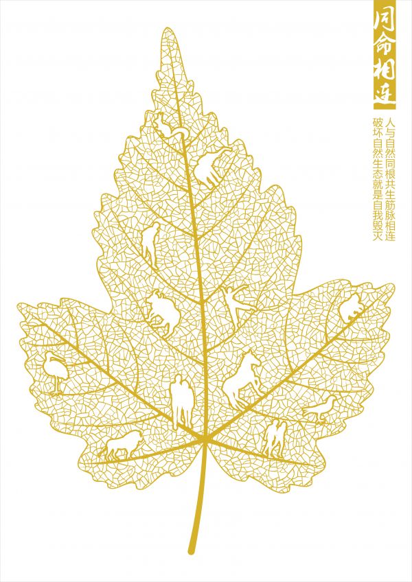 224_(张定龙)_生命与自然系列-1