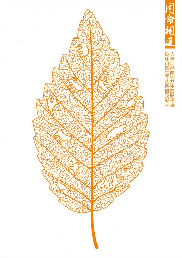 226_(张定龙)_生命与自然系列-3