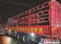 【暖新聞】前方疫區(qū)醫(yī)院物資緊缺 連云港企業(yè)65萬(wàn)元醫(yī)用設(shè)備連夜馳援武漢