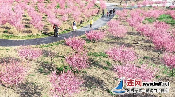 微信截图_20200324122501