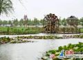 矿陷区变湿地公园 连云港海州化“地质灾害”为“生态红利”