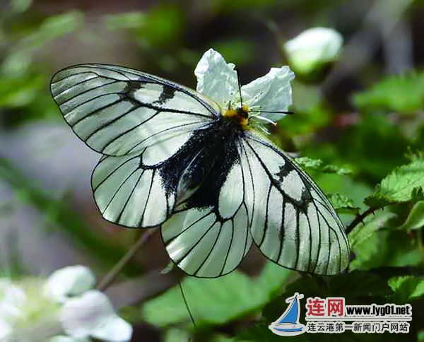 gb11县区b