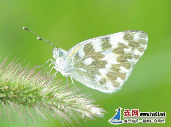 微信截图_20200812111117