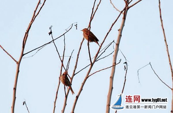 微信截图_20200812111539