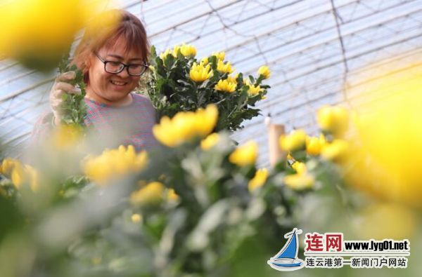 TIM截图20201021174025