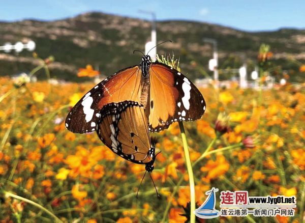 微信截图_20201026104028
