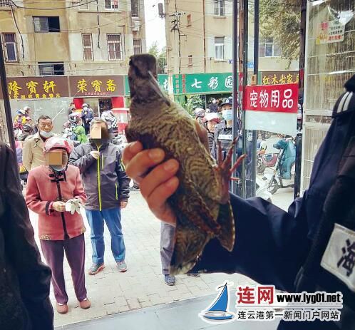 TIM截图20201104094251