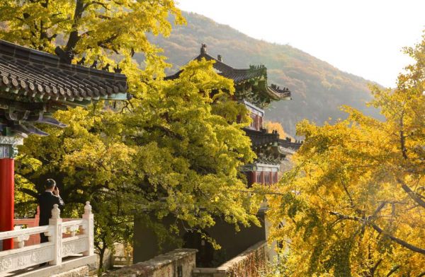 TIM截图20201104171040