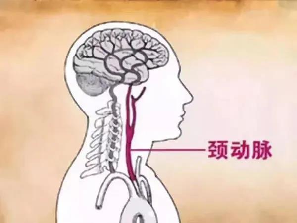 微信图片_20210114171331