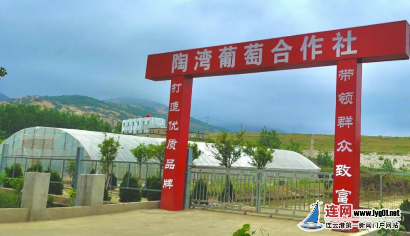 微信截图_20210601114555