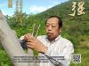 李保国