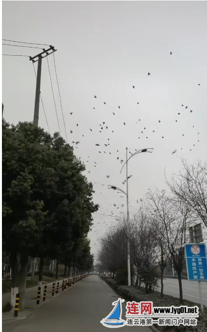 微信图片_20230210103006