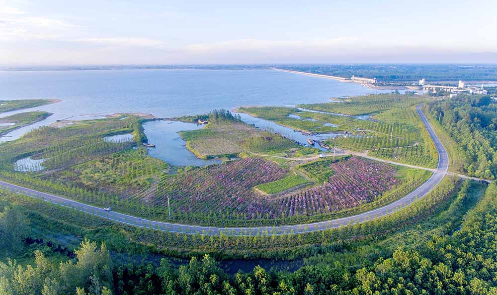 石梁河水庫王埠生態示范點