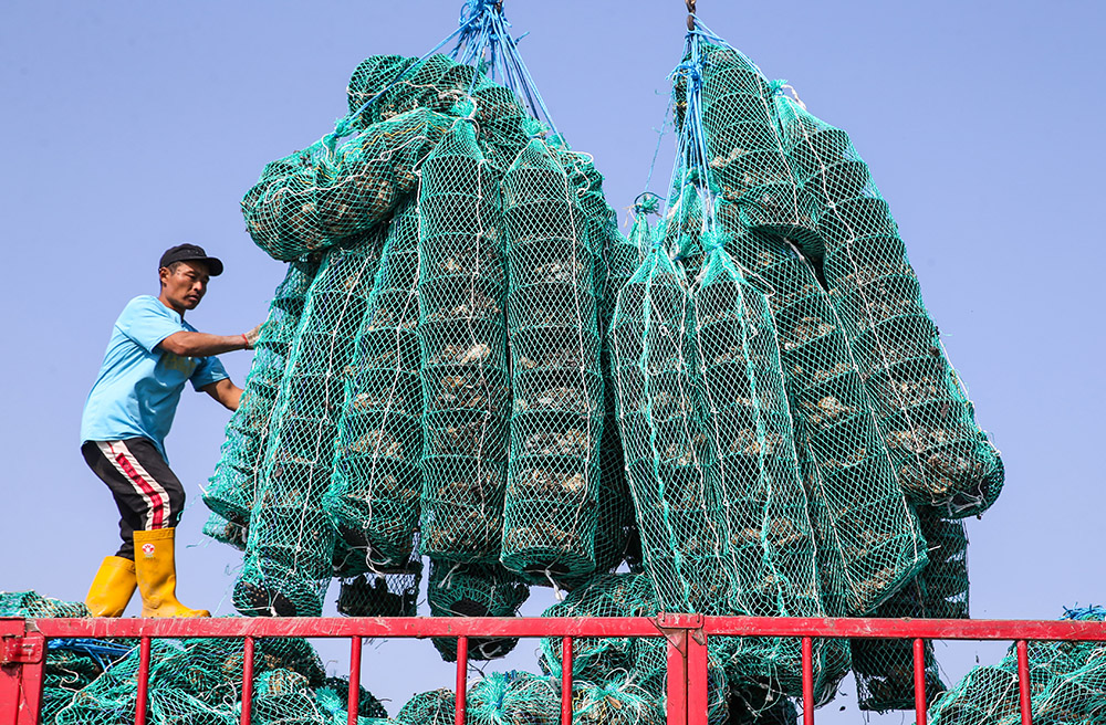 海州灣海洋牧場 (3)