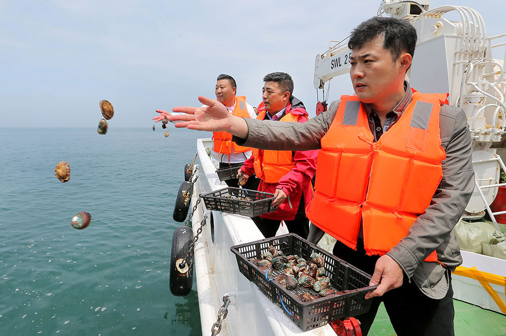 海州湾海洋牧场-(4)